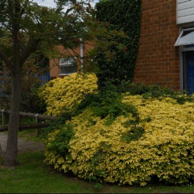 A green welcome at Park Avenue